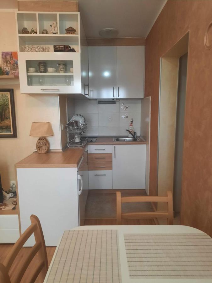 Fit Apartman Zlatibor Kültér fotó