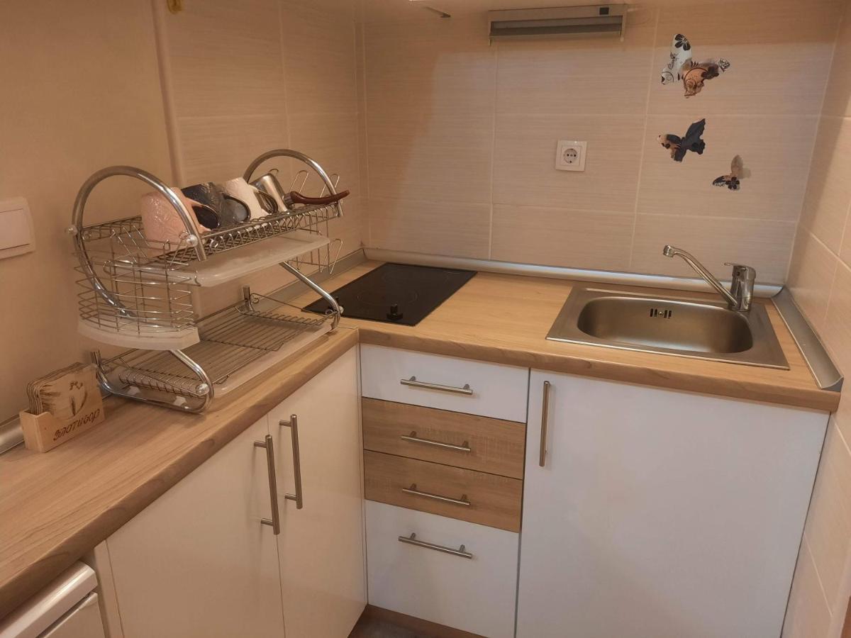 Fit Apartman Zlatibor Kültér fotó